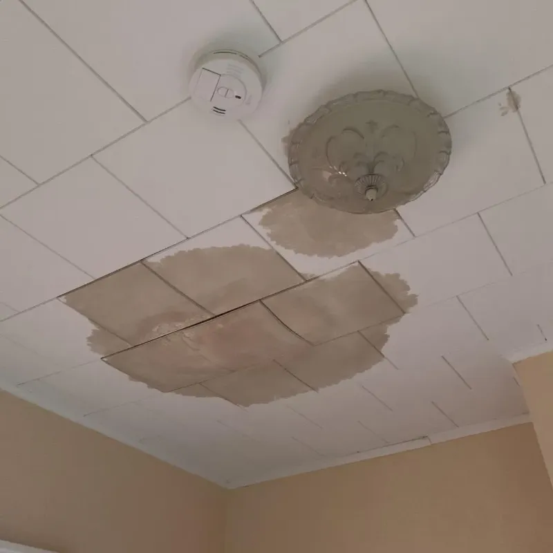 Ceiling Water Damage Repair in Livingston County, MO