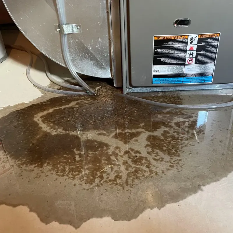 Pipe Burst and Leak Restoration in Livingston County, MO