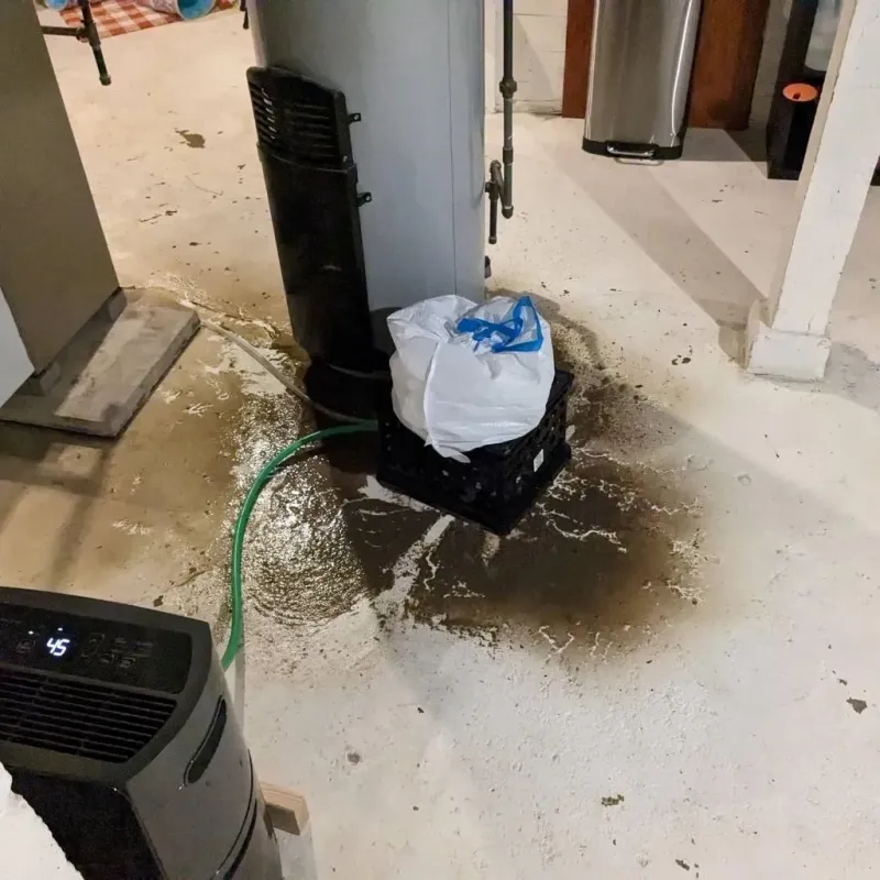 Sewage Backup Cleanup Service in Livingston County, MO